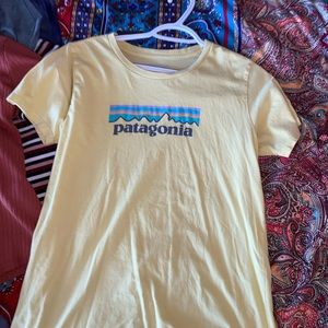 Patagonia tee